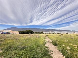 Terreno residenziale in SUS 16. P. G. ORDENACION URBANA