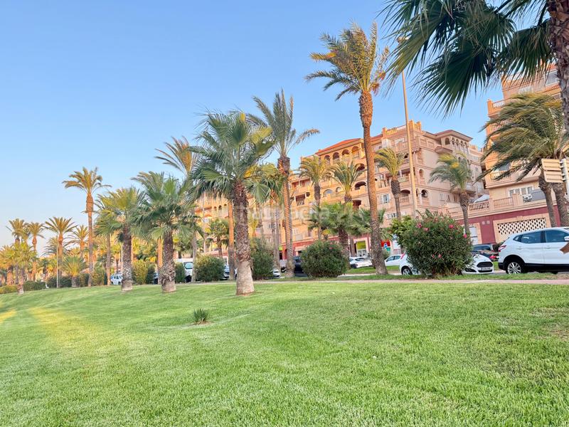 Foto 0b9ba6cd-c055-443f-9ffd-eb8c916cedb6. Appartement in calle raquero in Almerimar Ejido (El)