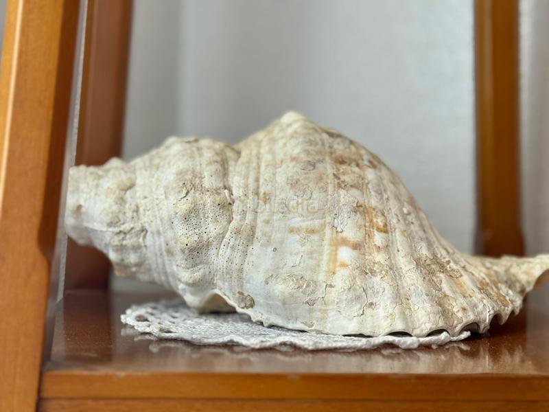 Foto ba19d663-ed58-438f-9f9d-cc544796e093. Maison dans calle el rey dans Berja