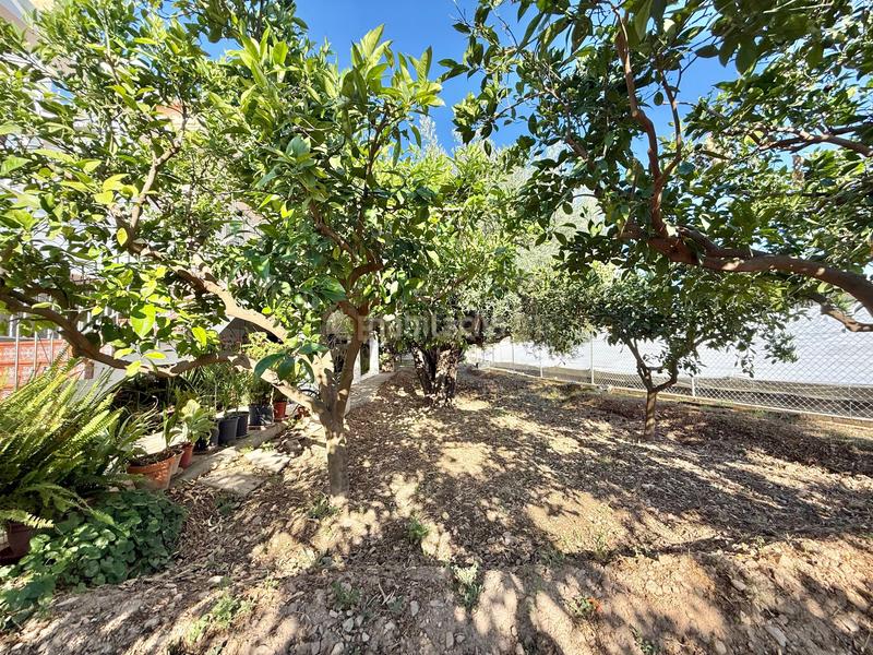 Foto bb4431e9-232c-4dad-9254-c8763dc9ff1a. Maison dans calle el rey dans Berja