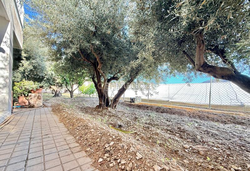 Foto db3e8b99-f61e-44aa-a1db-890379a17224. Maison dans calle el rey dans Berja