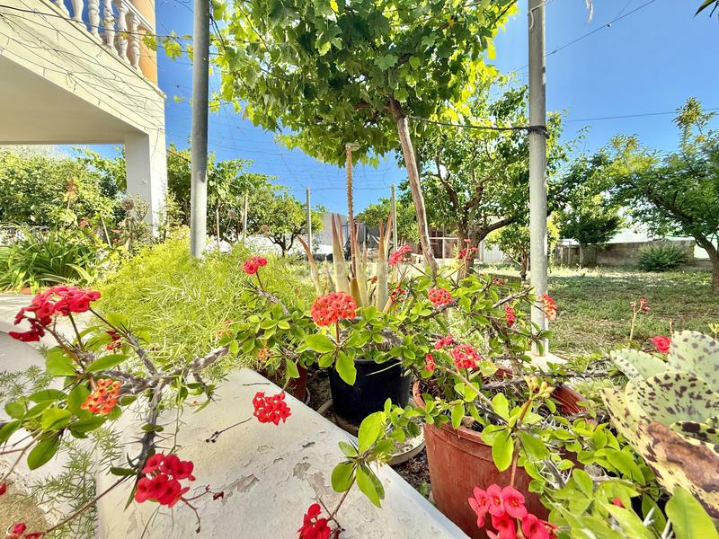 Foto e15c8be8-7b21-4379-82f8-bc636093b10a. Maison dans calle el rey dans Berja