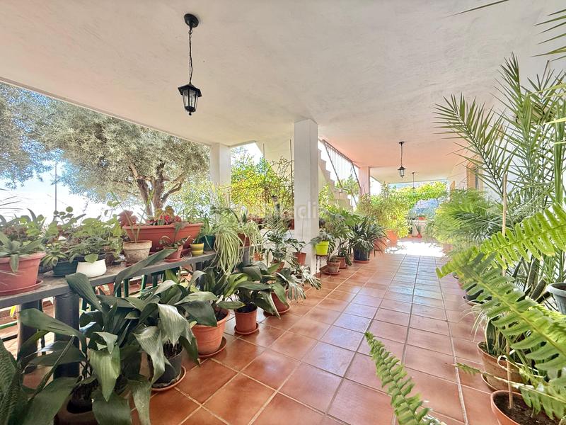 Foto f159258c-ebfe-403d-9ef6-4c2f6ffa5439. Maison dans calle el rey dans Berja