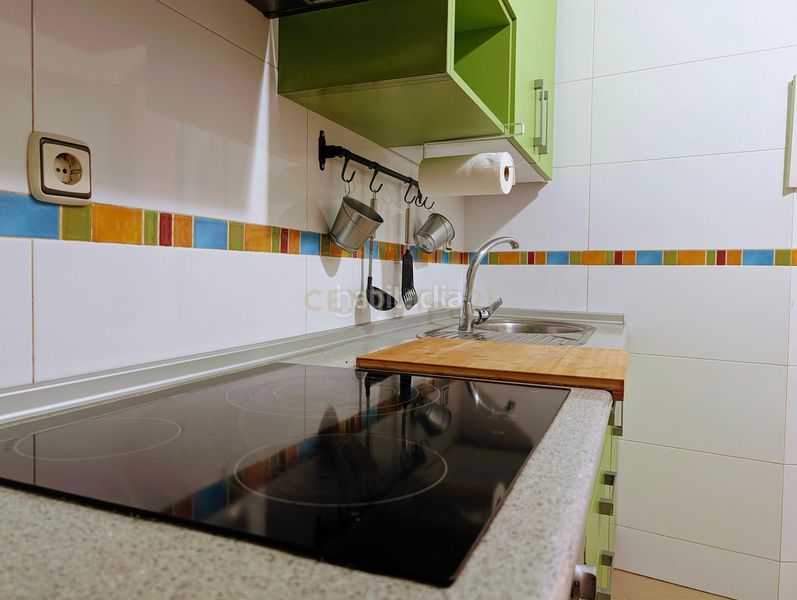 Foto 715d4b65-fa1f-42b5-ac0f-d0bab9ea9a18. Pis a Berja