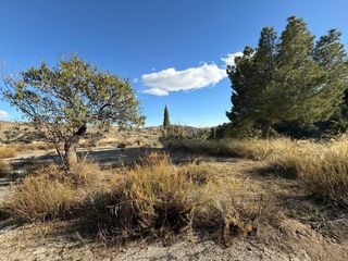 Rural plot in BR RAMB-BANCALEJOVELEZ-RUBIO (ALMERÍA)