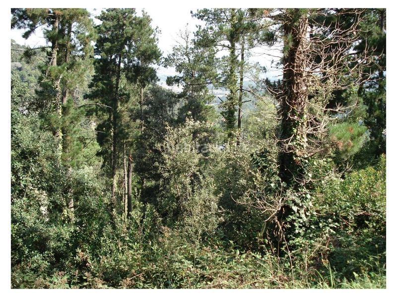 Foto 00d8e7d7-55f7-466c-9882-cb1be68cfbb9. Terreno residencial ubicado en la exclusiva zona del golf en la urbanización can corbera, a 15 minutos de barcelona y a 5 minutos de al en Vallromanes