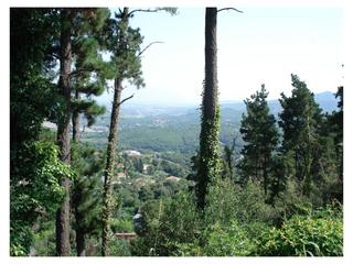 Terreny residencial  Carrer duque de almenara alta. Ubicado en la exclusiva zona del golf de vallromanes en la urban