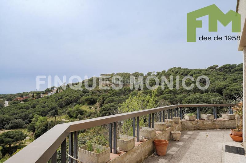 Foto d410f3ee-cdd6-4a4b-b946-2d3f8f98fa84. Casa in Teià