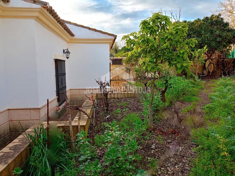Foto 4ad0473c-bd03-4b90-9873-55a88f2d25e0. Chalet con riscaldamento parcheggio piscina in Arcos de la Frontera
