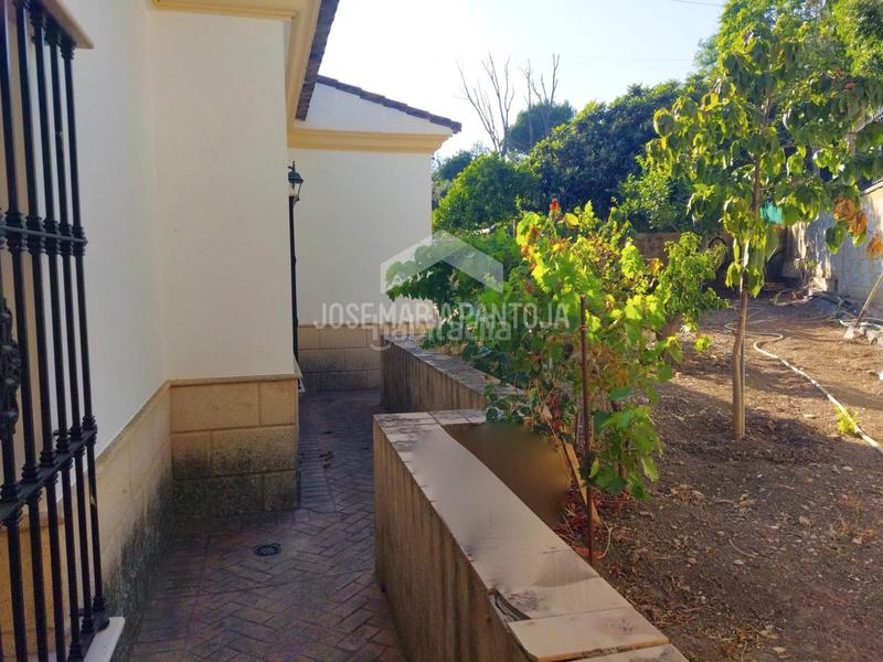 Foto e76d7e43-63d8-4b5b-9cdd-af7db12cb74c. Chalet con riscaldamento parcheggio piscina in Arcos de la Frontera