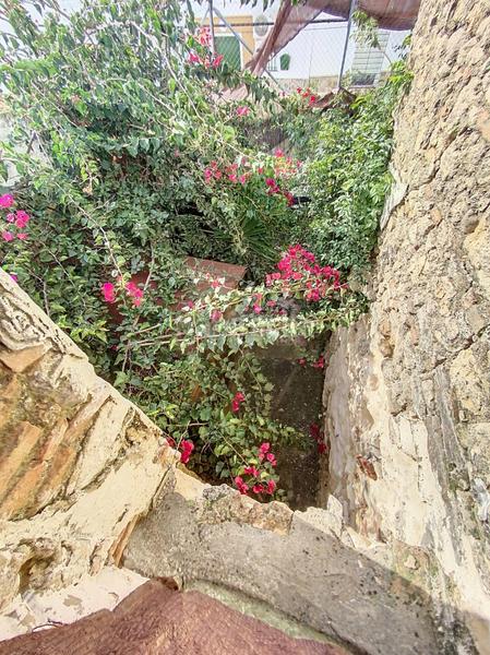 Foto e87684cf-ad9d-4a53-a0a1-970771bcdd41. Casa a Medina Sidonia