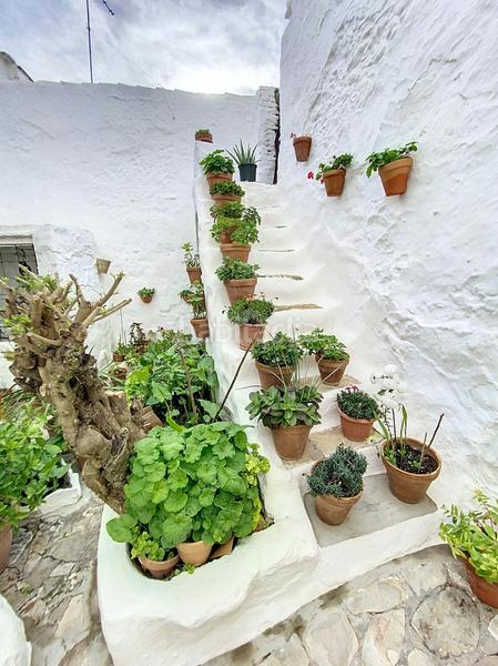 Foto f9708406-b1bd-433a-8c2b-e05ffa0792ae. Casa a Medina Sidonia