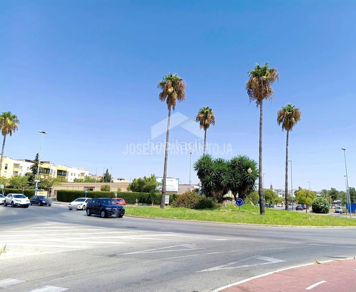 Foto 07f85621-a559-4fa2-9e85-320fa5bd8838. Piso  luminoso en puertas del sur, ideal para entrar a vivir en Jerez de la Frontera