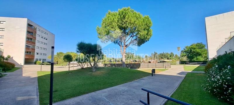Foto 0258756a-7cc8-4079-91be-ade8632a07ca. Pis amb calefacció aparcament piscina a Chapín - Campus Universitario - Navinco Jerez de la Frontera