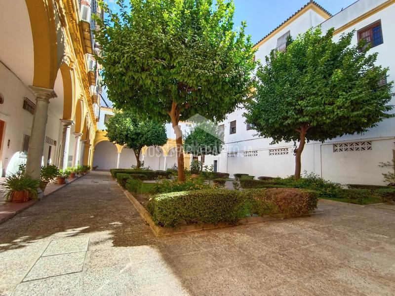 Foto 0182335d-5396-4e9e-9f9b-c3cd9ecfec3a. Appartement dans Centro Jerez de la Frontera