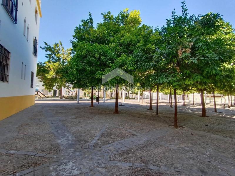 Foto 6b35e2c7-1132-4cc1-aa18-a39f5f91f2fd. Appartement dans Centro Jerez de la Frontera