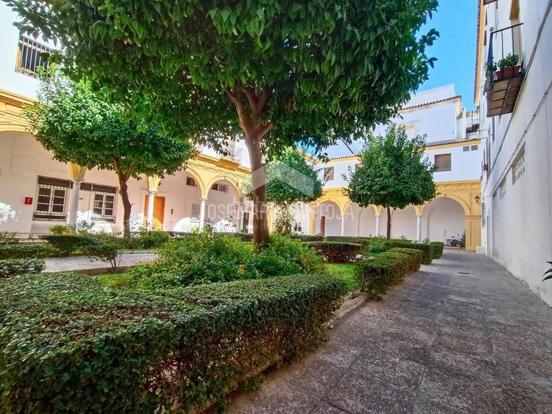 Foto b600c1fa-d824-48bf-9ef8-c6c5228f2d72. Appartement dans Centro Jerez de la Frontera