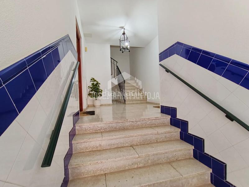 Foto ccc0d2a4-e9b8-4062-a9bc-38acbb171aa5. Appartement dans Centro Jerez de la Frontera