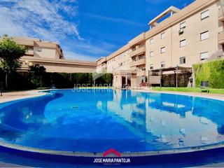 Appartement à Pago San José - Princi - Jerez. Piso con terraza y piscina en la canaleja