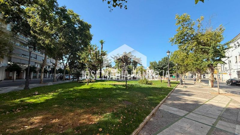 Foto a4bdbcd8-04c5-48d7-a739-54a88954e7bd. Pis a Centro Jerez de la Frontera