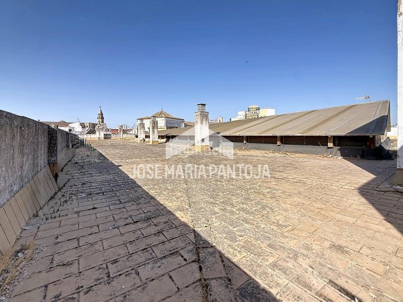 Foto 79acbb2d-18ff-4165-bb6b-394a74b16783. Pis a Centro Jerez de la Frontera