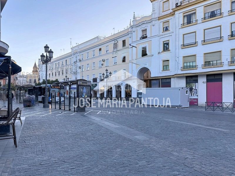 Foto 8769fdd8-0668-4072-a3ff-270d2e32297f. Pis a Centro Jerez de la Frontera