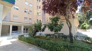 Alquiler Piso en Pago San José - Princi - Jerez. Alquiler de habitación a  estudiantes junto a la universidad