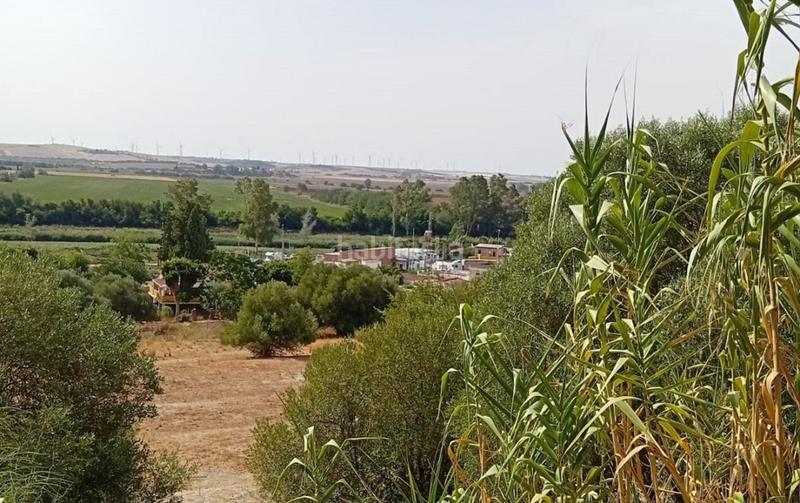 Foto 91625bc4-2624-4877-81a3-7ef0b95d7cbe. Chalet  en pago solete bajo en Parque Atlántico - Ronda este Jerez de la Frontera