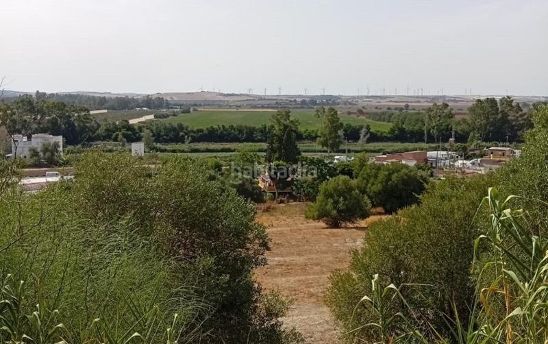 Foto e29e6d2d-ad6b-4bd7-8a5e-1565258cc671. Chalet  en pago solete bajo en Parque Atlántico - Ronda este Jerez de la Frontera