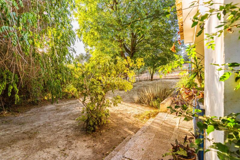 Foto fcbacb2c-57d3-447c-90f3-9ee7ac3a7516. Chalet  en pago solete bajo en Parque Atlántico - Ronda este Jerez de la Frontera