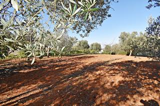 Terreny residencial a Parque Atlántico - Ronda este. Parcela en las pachecas de 5300 metros.