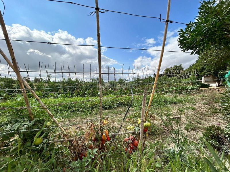 Foto 149bfc22-18a2-4c24-9494-981a4cdd10d0. Casale in Pozoalbero Jerez de la Frontera