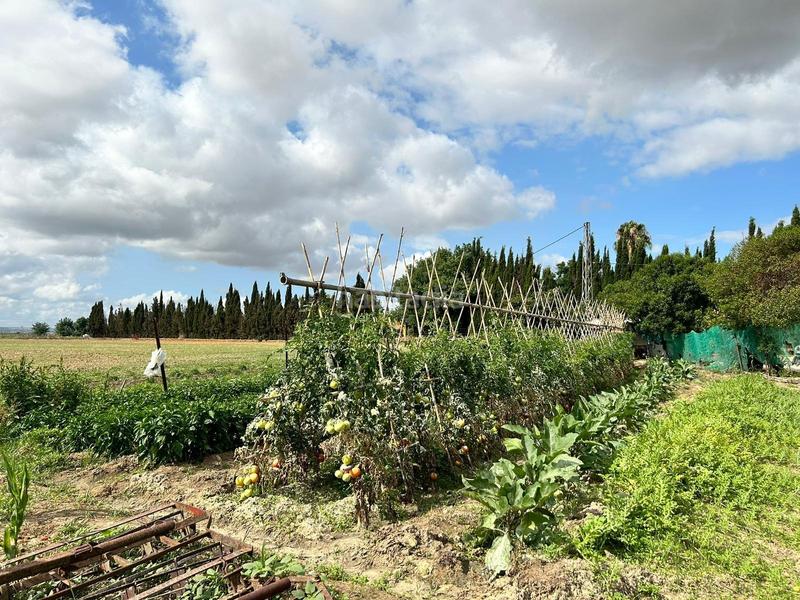 Foto 2c71d01c-7479-4c6d-946c-10be1583594c. Casale in Pozoalbero Jerez de la Frontera