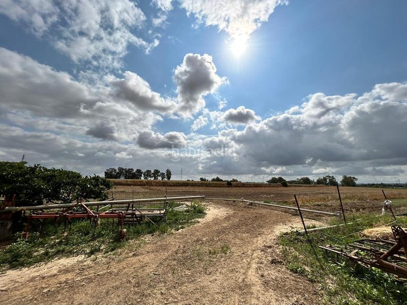 Foto ce73f852-21ae-4faf-8efd-f420ba4a41a3. Casale in Pozoalbero Jerez de la Frontera