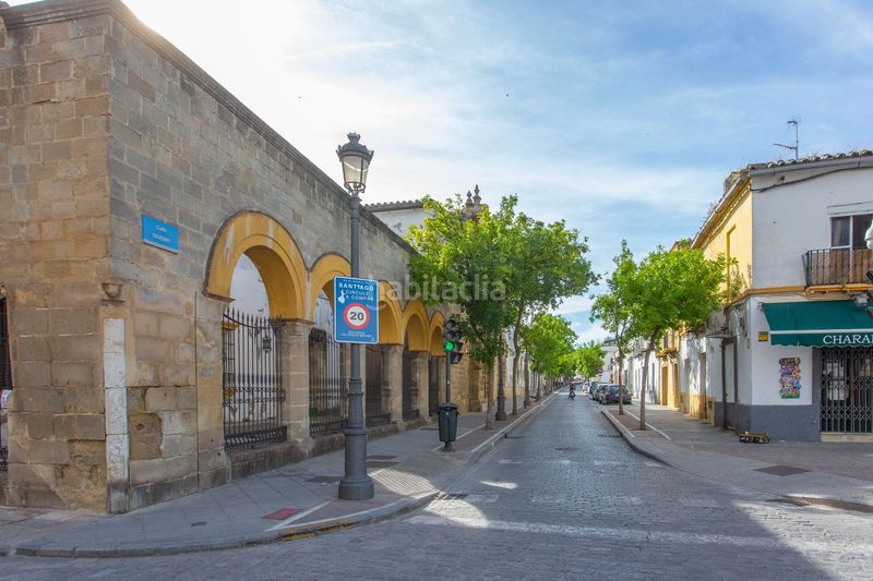Foto 31fe0b4a-18d1-4049-820d-6cbf7067647a. Apartamento espectacular loft reformado con licencia turística en barrio de santiago en Jerez de la Frontera
