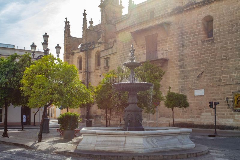 Foto e1dcd5f4-9a8a-455f-b56c-49a0c972763b. Apartamento espectacular loft reformado con licencia turística en barrio de santiago en Jerez de la Frontera
