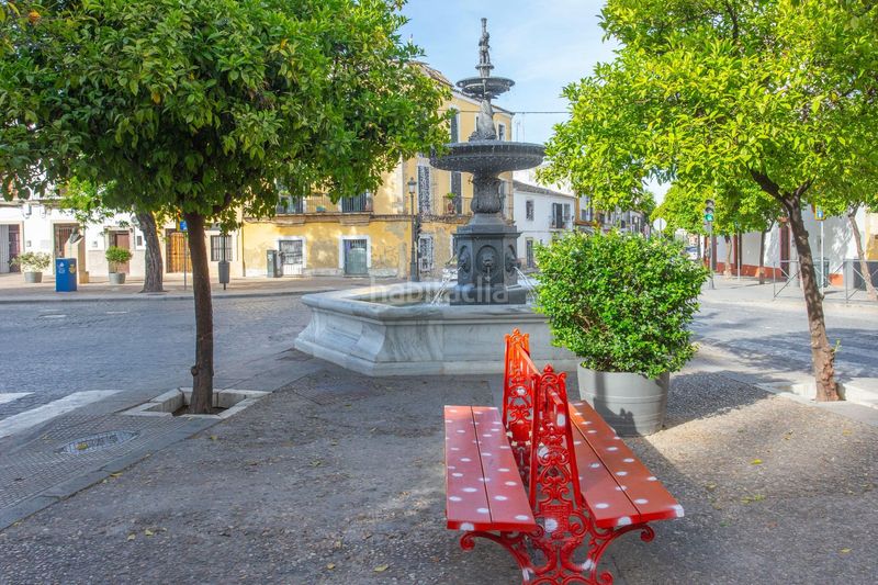 Foto ee236a68-d942-4a50-b2a3-27b640f78636. Apartamento espectacular loft reformado con licencia turística en barrio de santiago en Jerez de la Frontera
