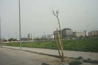 Terrain résidentiel à Tulell. Terreno urbano en alzira, valencia.