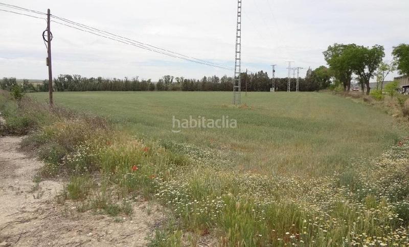 Foto e025dc97-74df-4f28-a992-ddb0817911dc. Finca rústica suelo no urbanizable , madrid en Estremera