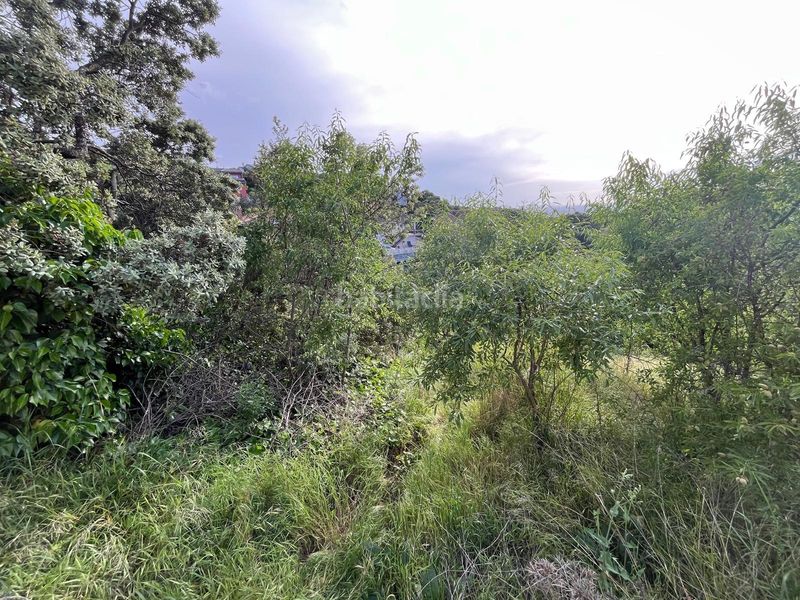 Foto 56dd89a8-15e5-4211-b8df-f5a4d01e3182. Xalet amb aparcament a Casar (El)