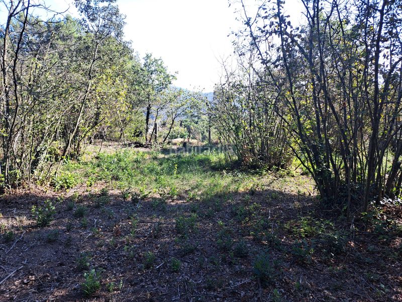 Foto 5c70eba3-1462-48c5-a0ad-8a0d80b1c143. Terreny residencial a Centelles