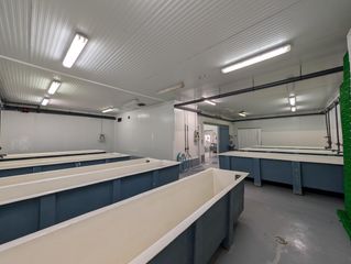 Industrial building in Ayamonte ciudad. Nave industrial en polígono industrial de ayamonte  oportunidad