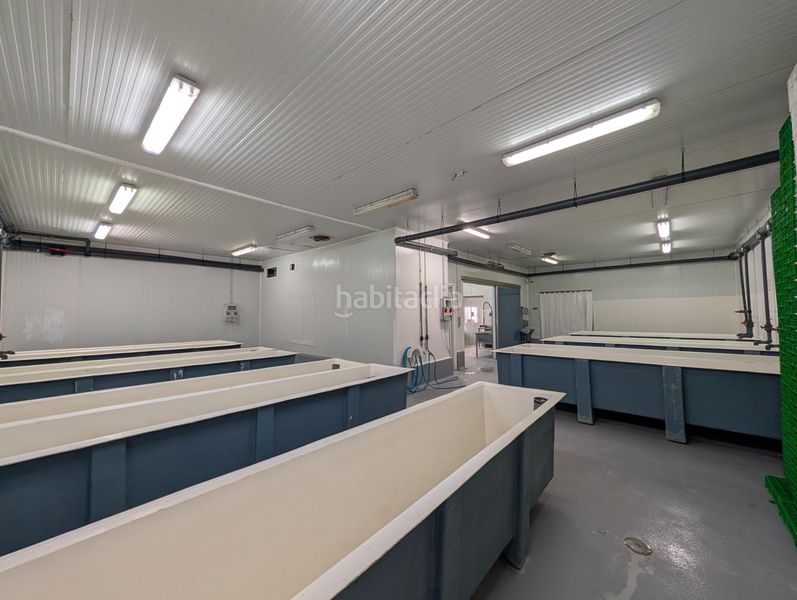 Foto 17fd9c49-c3d1-4a70-b6b2-800c7fb1bfa6. Nau industrial a Ayamonte ciudad Ayamonte