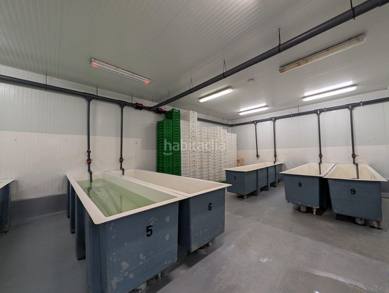 Foto 521a6c08-f7f3-458e-9cb7-3ea891f2a535. Nau industrial a Ayamonte ciudad Ayamonte