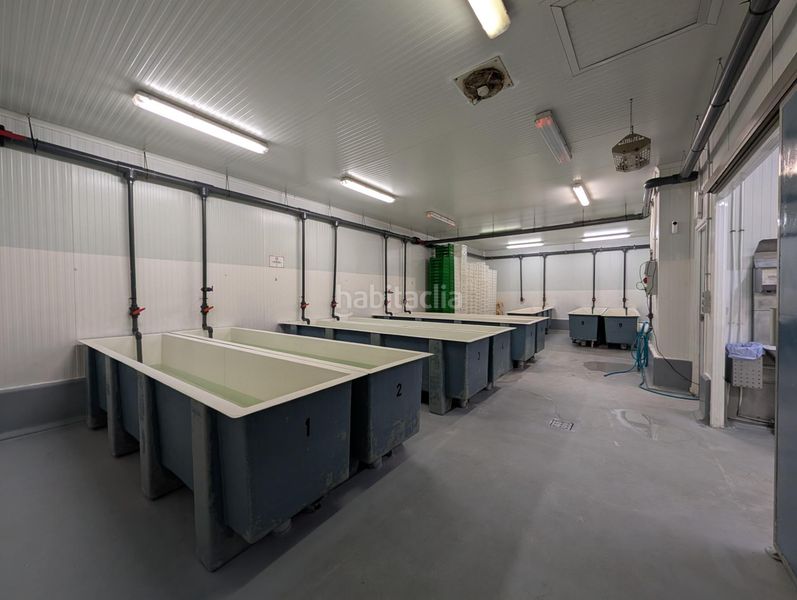 Foto c05bc1e2-9b79-42b2-86d5-75faaaaf5291. Nau industrial a Ayamonte ciudad Ayamonte