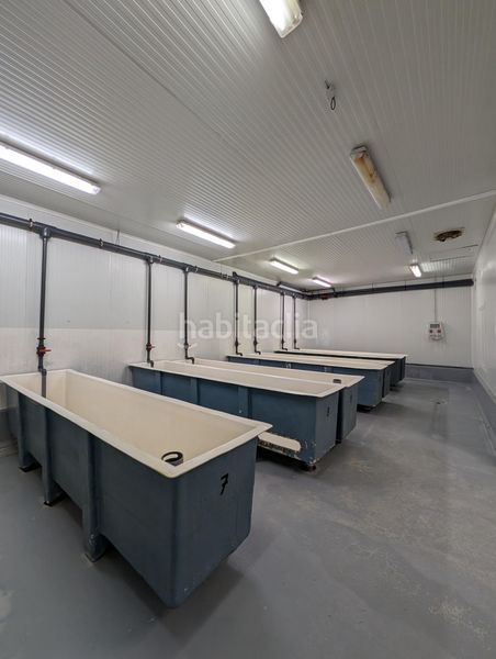 Foto c1842329-b8be-4a0a-8a99-a9ed18f59fe2. Nau industrial a Ayamonte ciudad Ayamonte