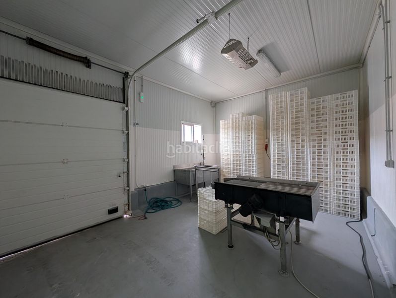 Foto f6f98bc2-b195-4e35-97d1-145ea9a3ef03. Nau industrial a Ayamonte ciudad Ayamonte