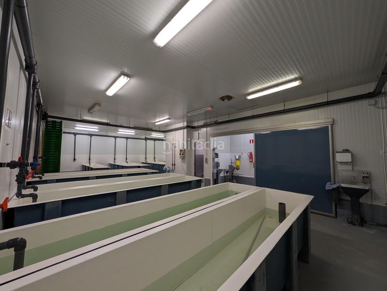 Foto ffad991c-03fc-4895-811a-afa9f80d7de3. Nau industrial a Ayamonte ciudad Ayamonte