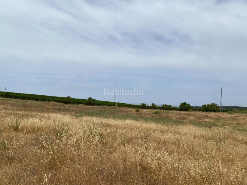 Foto 19f187ad-f4ff-4e15-ac85-dd4c0dee4e3d. Terreny residencial a Ayamonte ciudad Ayamonte