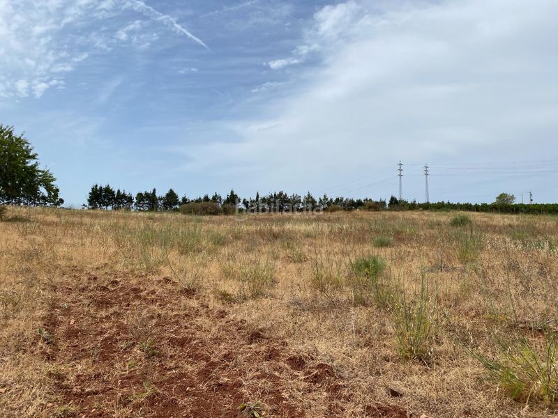 Foto ab3e5a74-1ef7-4541-98eb-d2743d22439f. Terreny residencial a Ayamonte ciudad Ayamonte